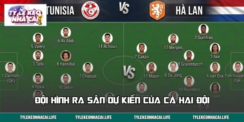 Đội hình dự kiến ra sân của các cầu thủ Tunisia vs Hà Lan