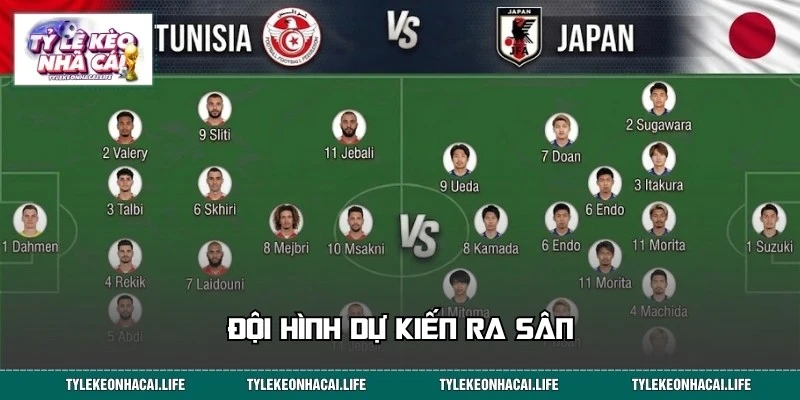 Lực lượng tham dự của hai đội tuyển Tunisia vs Nhật Bản