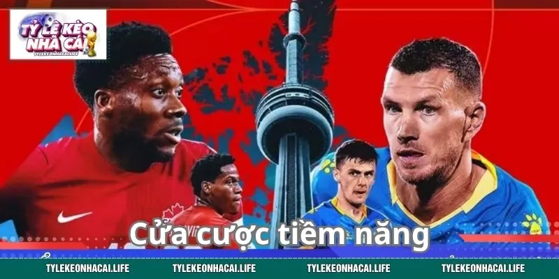 Xuống tiền ngay với những cửa cược tiềm năng